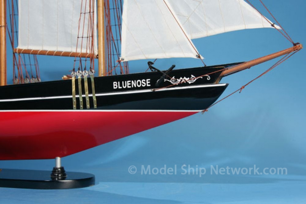 bluenose model outline