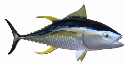 Yellowfin Tuna Fish